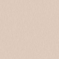 Champagne Silk